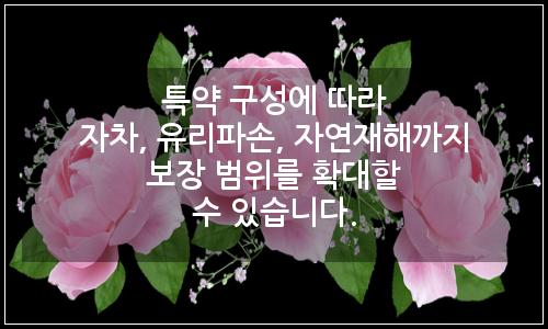 오늘의 이미지