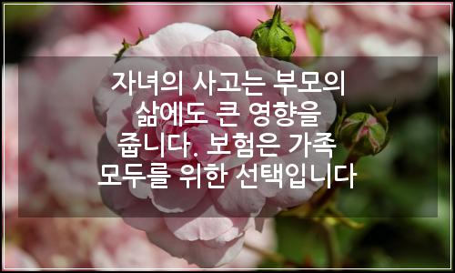 오늘의 이미지