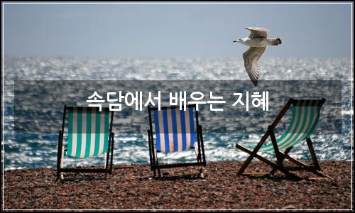 오늘의 이미지