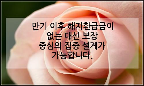 오늘의 이미지