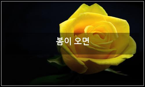 오늘의 이미지