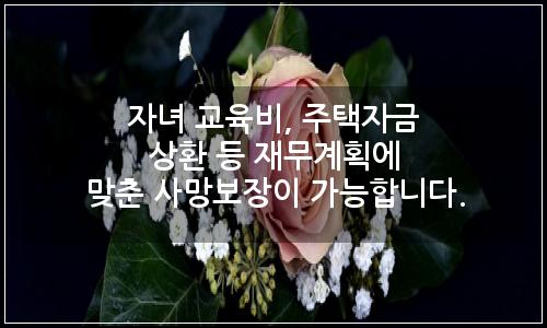 오늘의 이미지