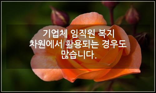 오늘의 이미지