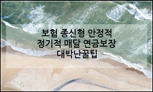 오늘의 이미지