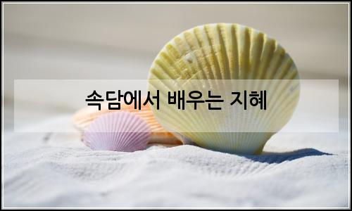 오늘의 이미지