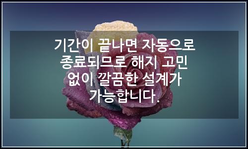 오늘의 이미지