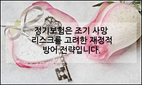 오늘의 이미지