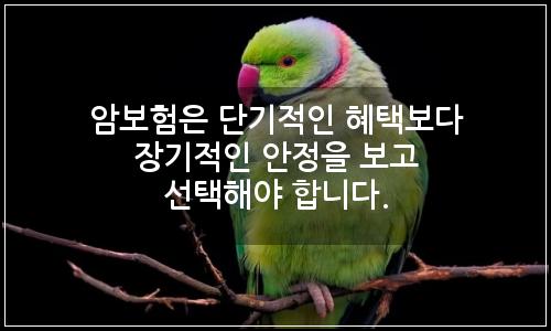 오늘의 이미지