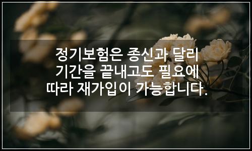 오늘의 이미지