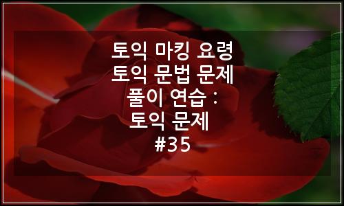 오늘의 이미지