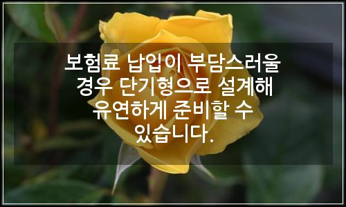 오늘의 이미지