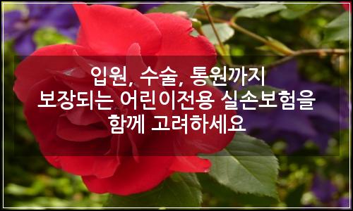 오늘의 이미지