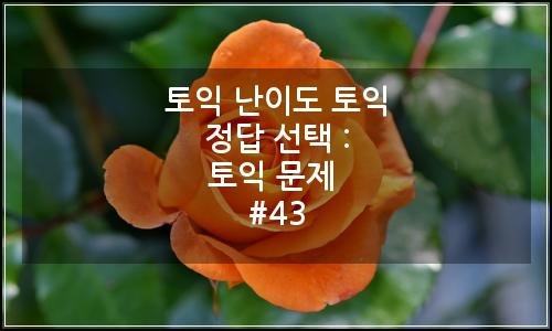 오늘의 이미지