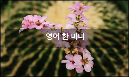 오늘의 이미지