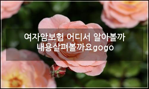 오늘의 이미지