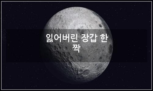 오늘의 이미지