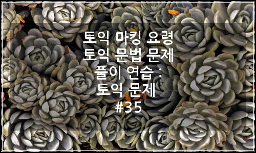 오늘의 이미지