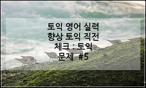 오늘의 이미지