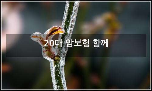 오늘의 이미지