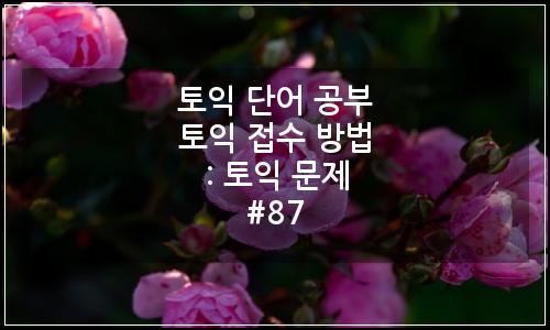오늘의 이미지