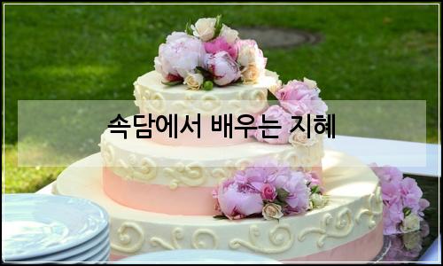 오늘의 이미지
