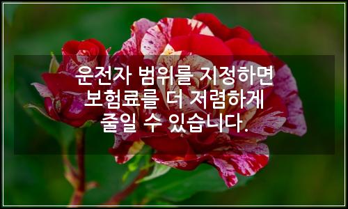 오늘의 이미지