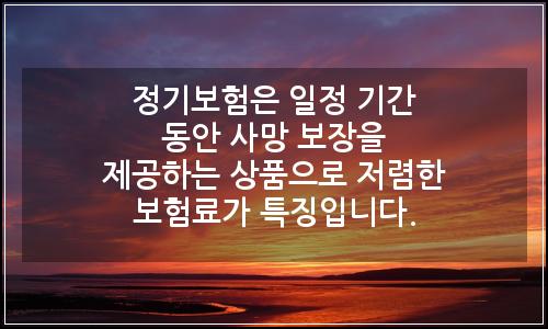 오늘의 이미지