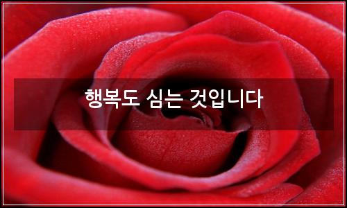 오늘의 이미지