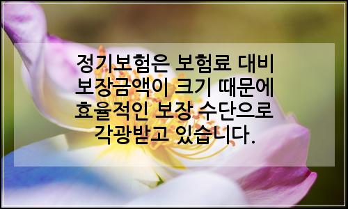 오늘의 이미지