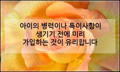 오늘의 이미지