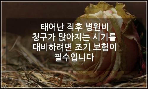 오늘의 이미지