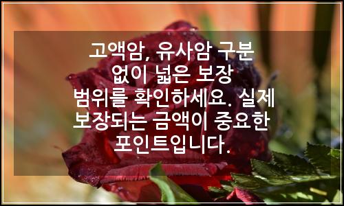 오늘의 이미지