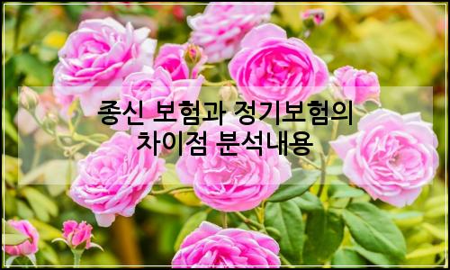 오늘의 이미지