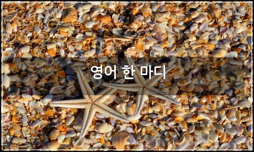 오늘의 이미지