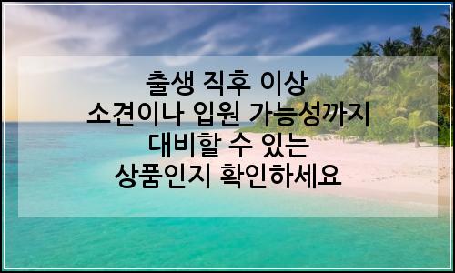 오늘의 이미지