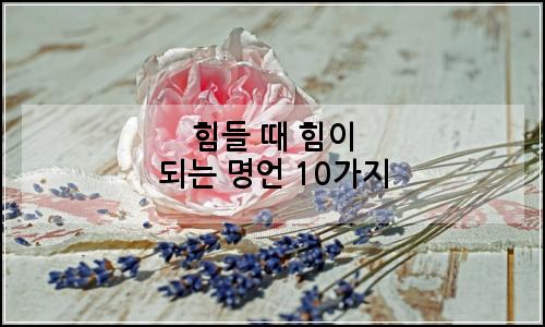 오늘의 이미지