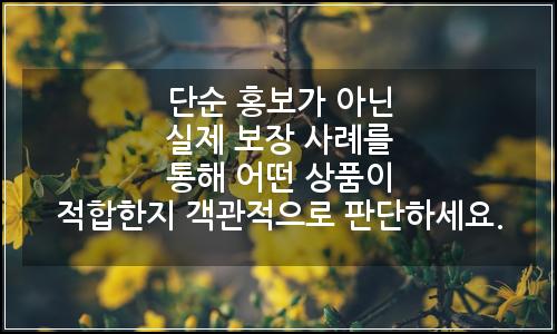 오늘의 이미지