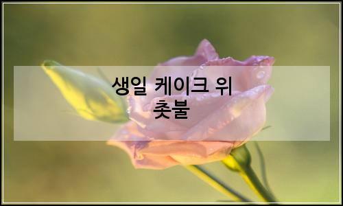오늘의 이미지