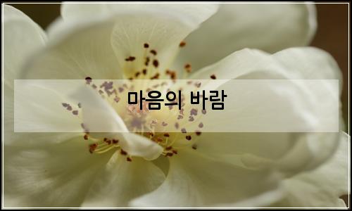 오늘의 이미지