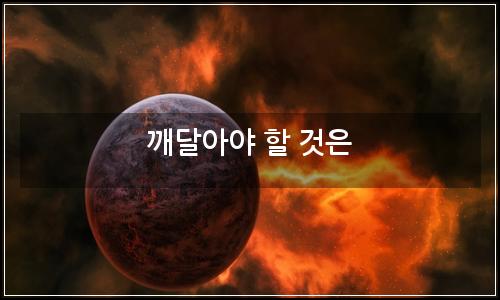 오늘의 이미지