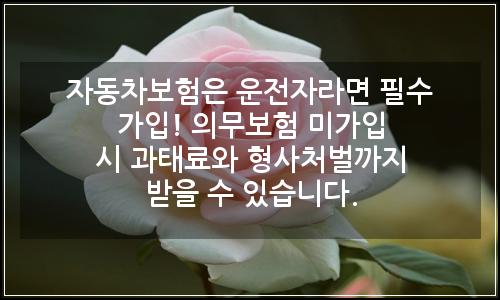 오늘의 이미지