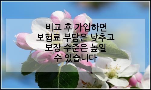 오늘의 이미지