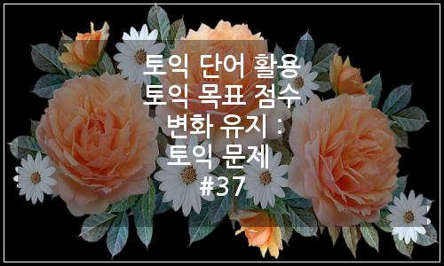오늘의 이미지
