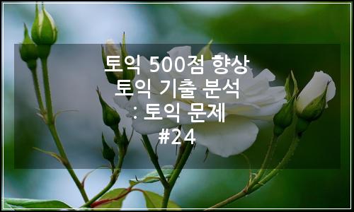 오늘의 이미지