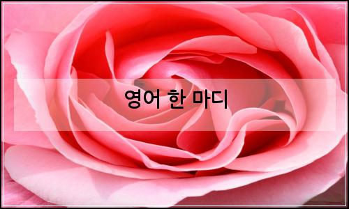 오늘의 이미지