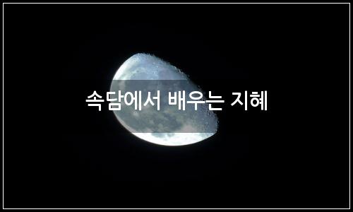 오늘의 이미지