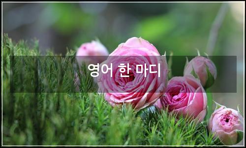 오늘의 이미지