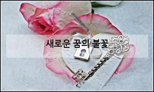 오늘의 이미지