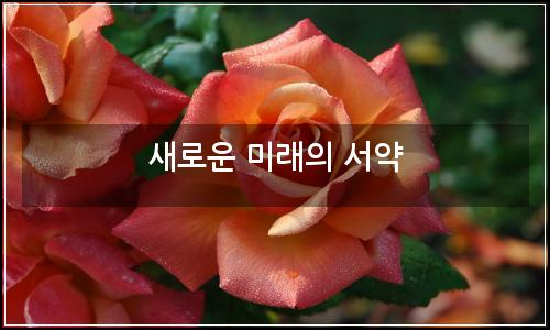 오늘의 이미지