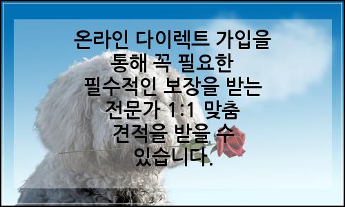 오늘의 이미지